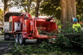 New Eeger Beever™ 1215 Brush Chipper