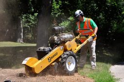 New Rayco RG25HD