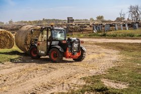 New Bobcat TL519