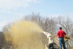 Finn Straw Blower B40