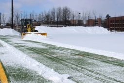 Turf Pusher full