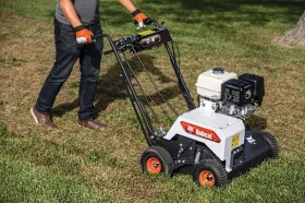 New Bobcat DT19